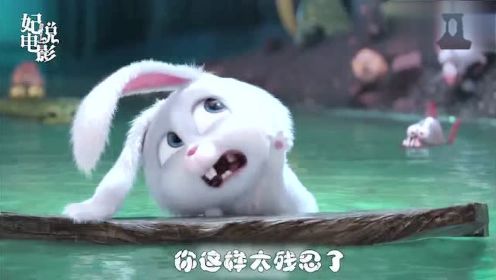 雪球版“兔兔那么可爱 怎么可以吃兔兔 ”