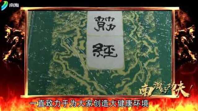 《南海好功夫》——李家驹