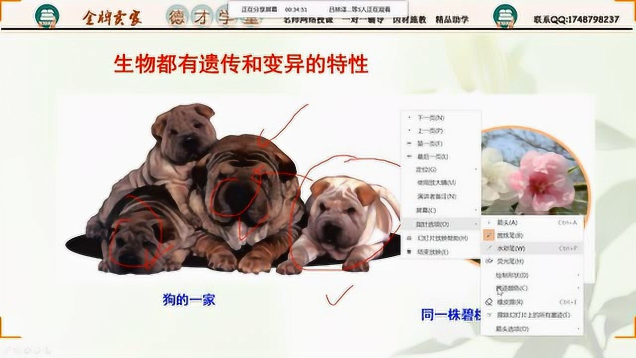 生物的遗传和变异_高清1080P在线观看平台_腾讯视频