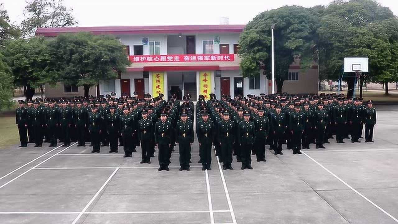 77228部队拜年给您拜年啦!