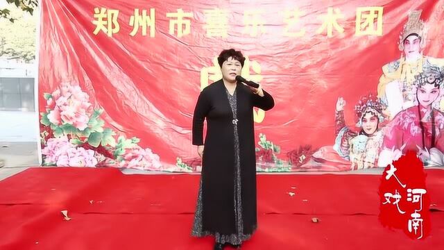 胡继红演唱:豫剧《探阴山》“扶大宋锦华夷忠心赤胆”选段