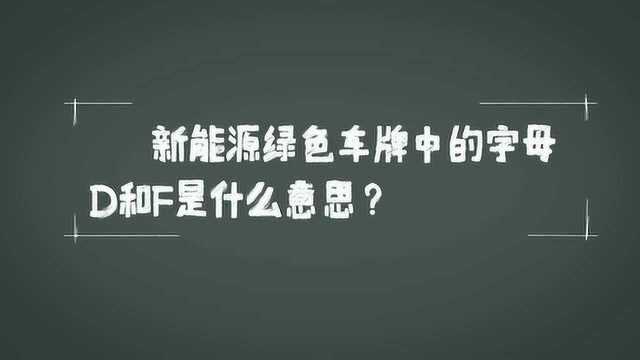 新能源牌照上的字母D/F竟有这样的意思,大部分车友不知道