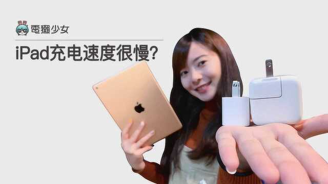 獭问獭答:iPad 和 iPhone 的充电头到底能不能共用?