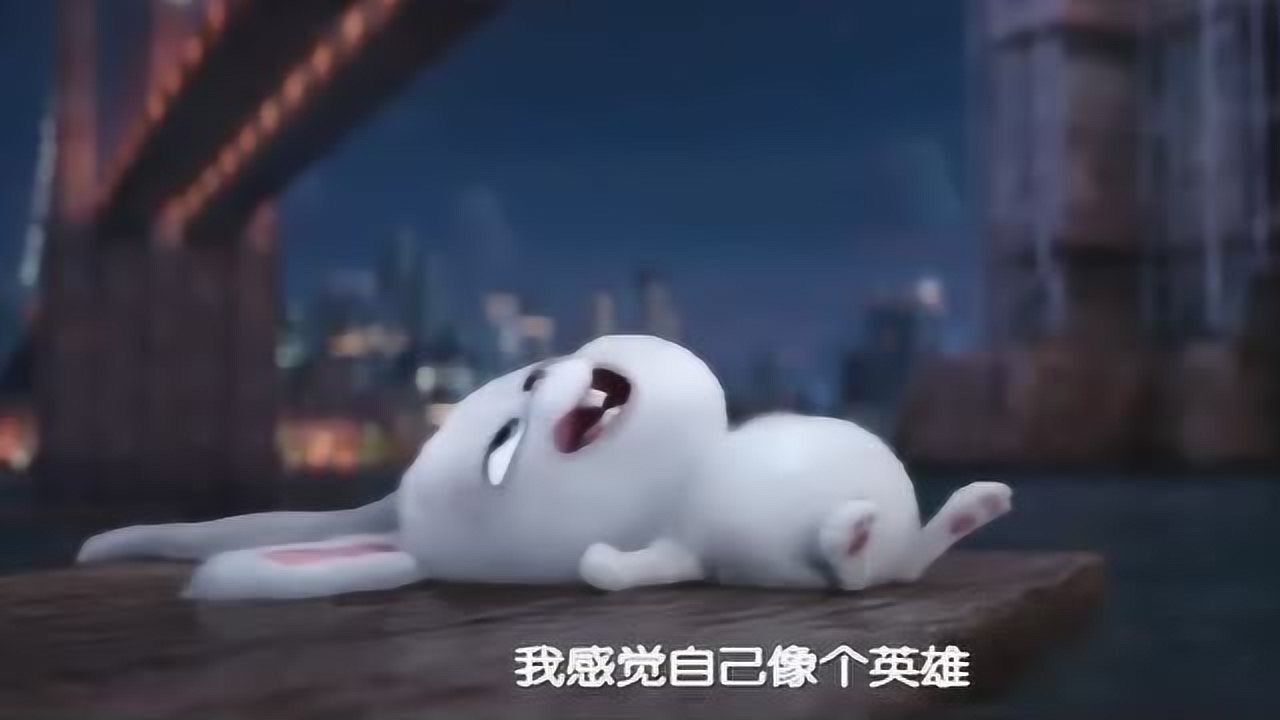 兔子:我感觉自己是个英雄,还很帅,虽然很湿,但我很好_高清1080P在线观看平台_腾讯视频