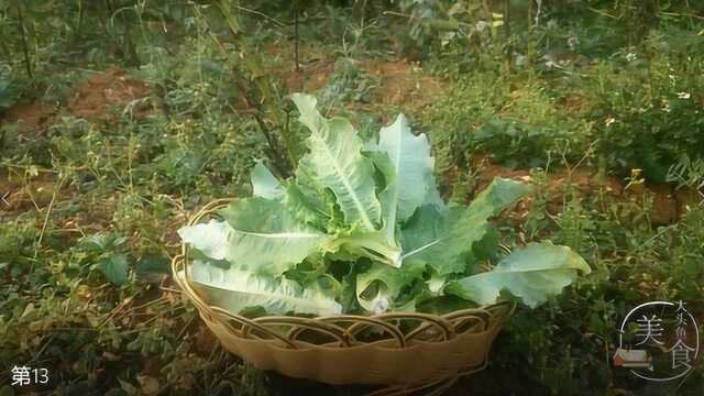 鸡窝菜这样做鸡新鲜又好吃,感觉味道还不错哦