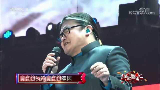 歌曲《家园》,刘欢的歌太有年代感,这才是大师的演绎.