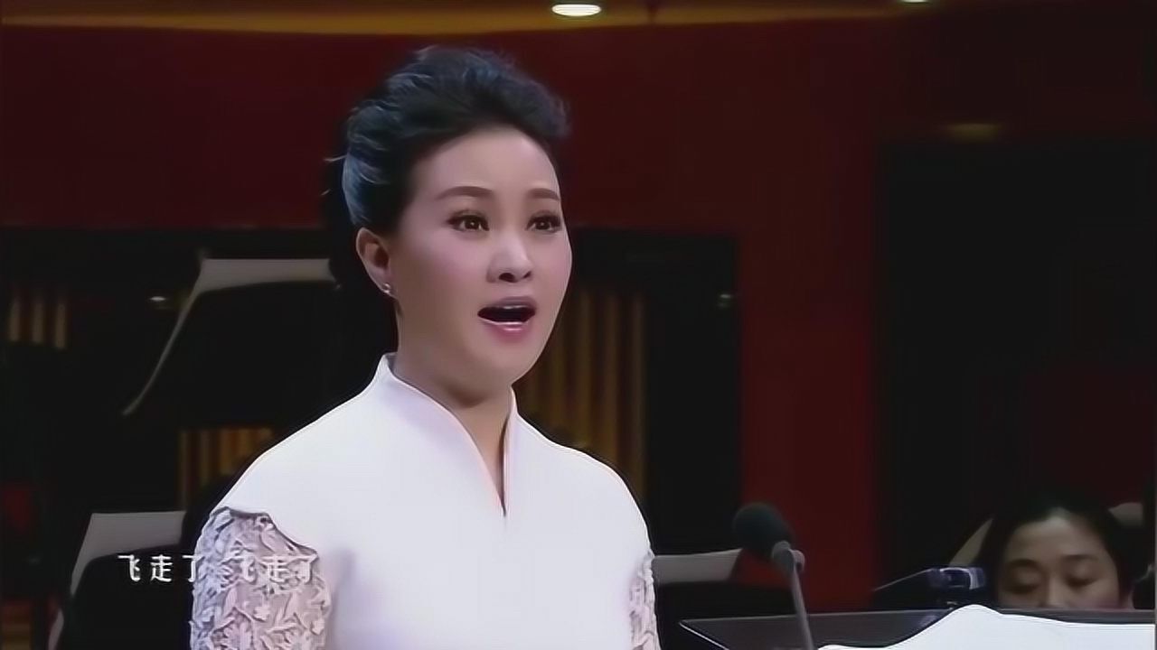 《白日飞升》演唱:雷佳 选自歌剧 再别康桥