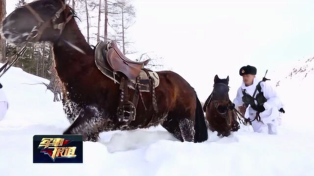 “雪海孤岛”的春天:零下30℃顶风冒雪巡边关