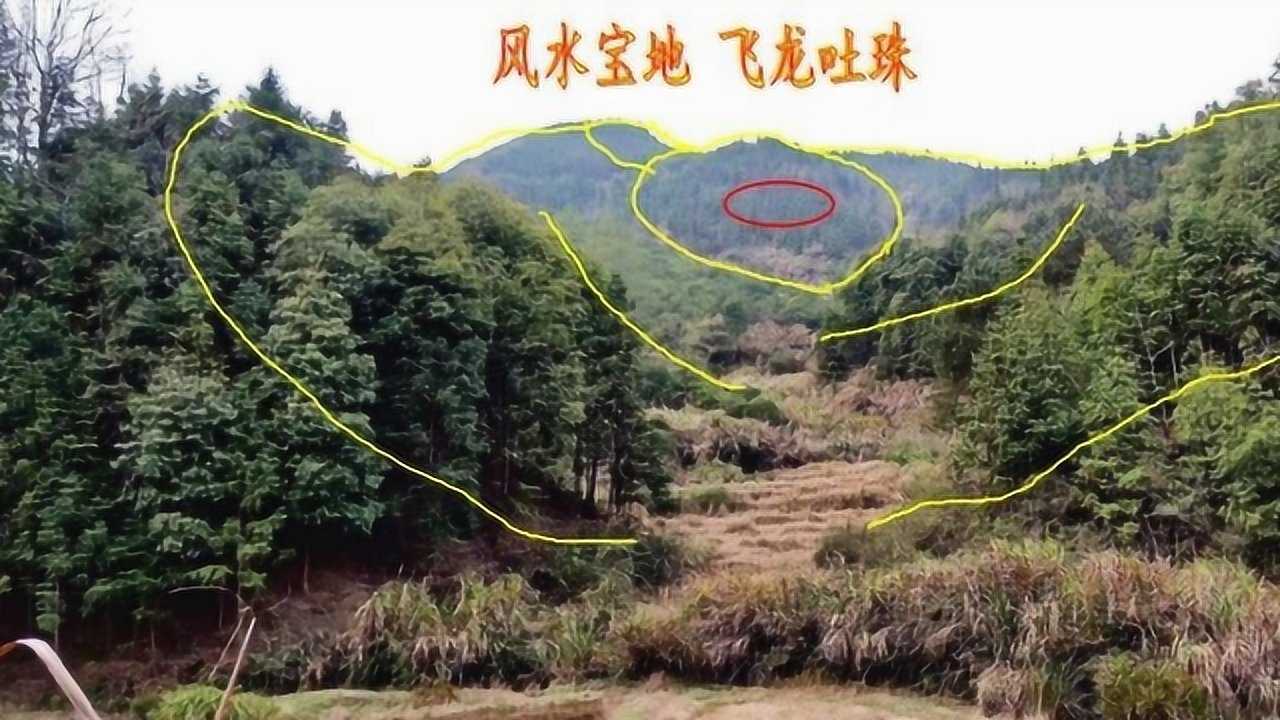 风水宝地飞龙吐珠风水大师带你走进深山寻龙点穴