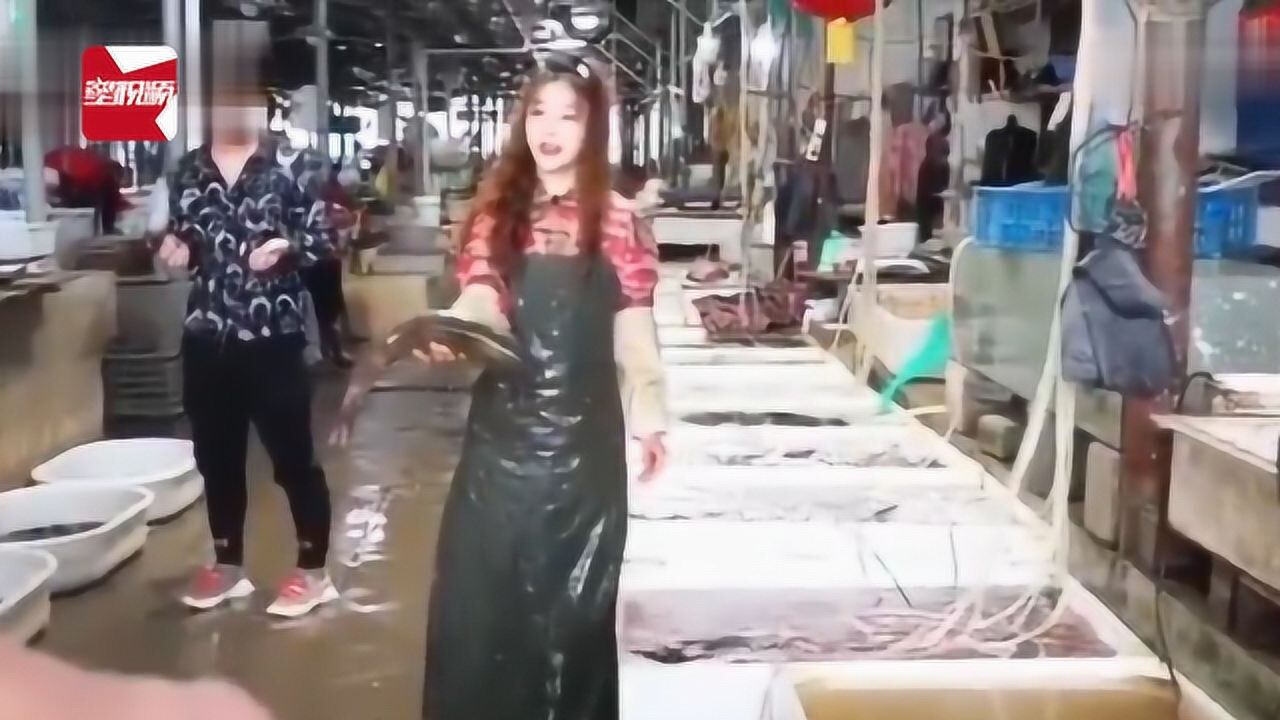 20秒杀鱼!卖鱼西施杀鱼一气呵成,自称不考虑进入娱乐圈_高清1080P在线观看平台_腾讯视频