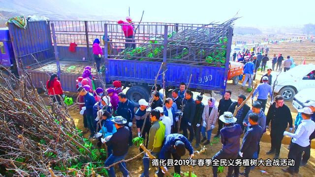 循化县2019年春季全民义务植树大会战活动