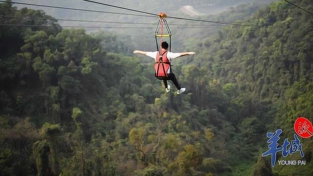 白云飞教练图片