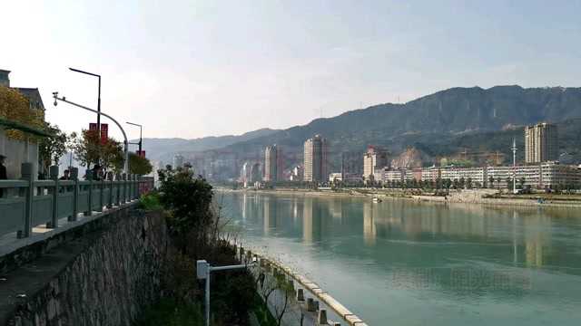 青田西门大桥下随拍