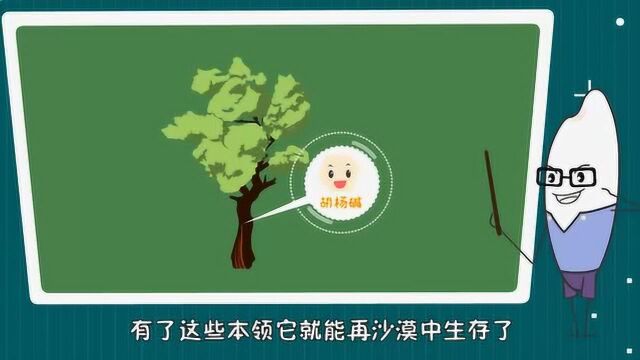 胡杨树为什么能在沙漠中生长?