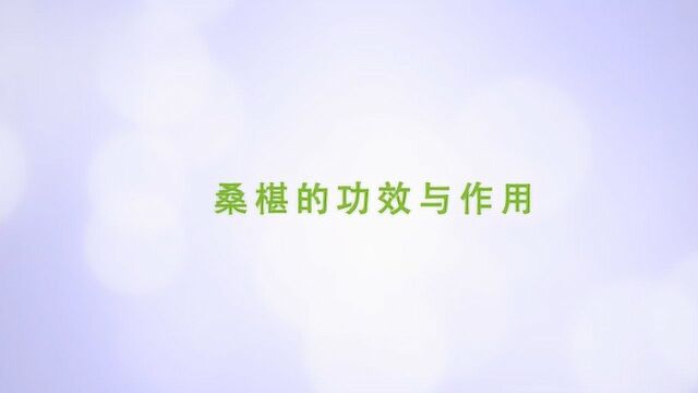 桑椹子的功效与作用及禁忌