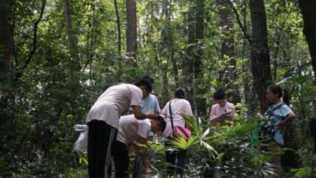 一群植物学家,前往神秘的盘古王,寻找兰科植物