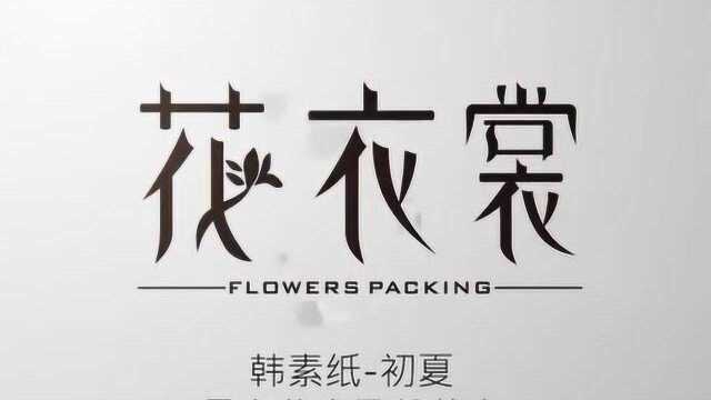 花衣裳 韩素纸初夏 康乃馨花束