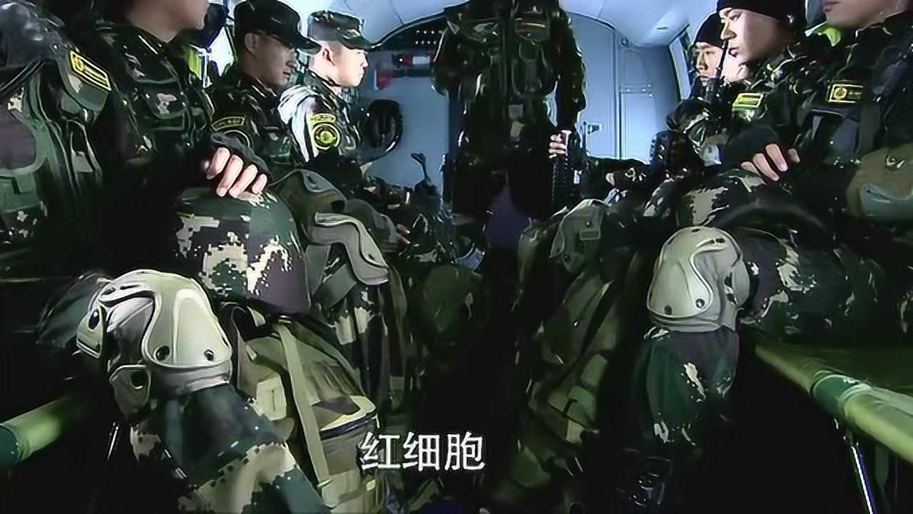 我是特种兵之利刃出鞘：何晨光归队欲出任务，众人再遇老黑班长_高清1080P在线观看平台_腾讯视频