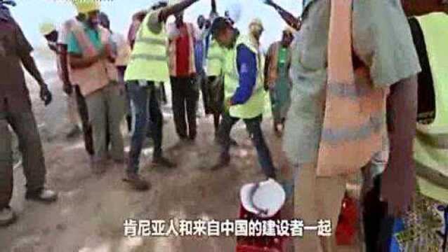 《我的铁路我的梦》背后的故事,一树百获