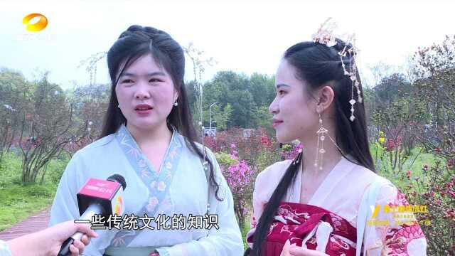 长沙园林生态园:120年杜鹃花王开放