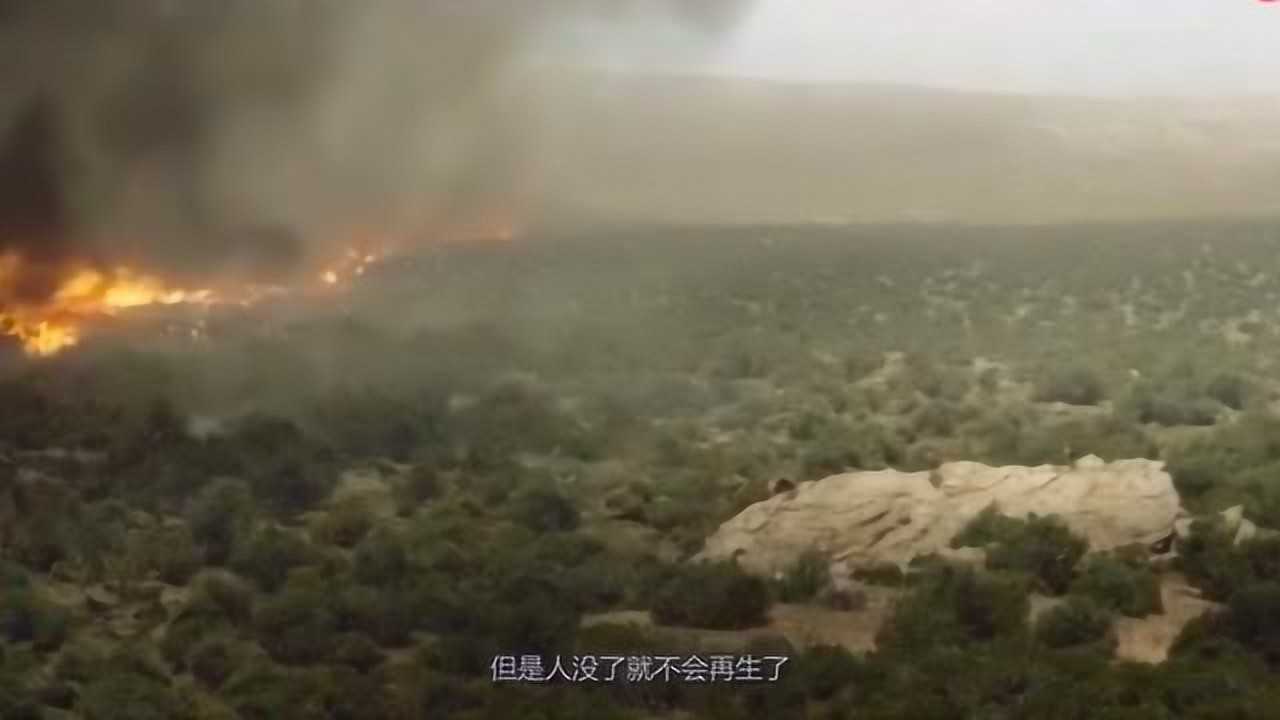 森林火灾燃爆究竟有多恐怖？看完这个视频，顿时明白消防员的伟大_高清