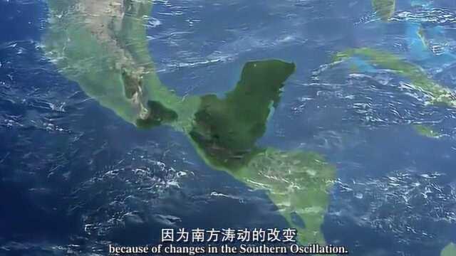 由于南方涛动的改变,结束了强大的玛雅帝国,真可惜!