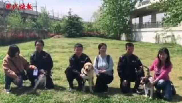 南京地铁新入职三名警犬兄弟,三名幸运网友为它们挂牌