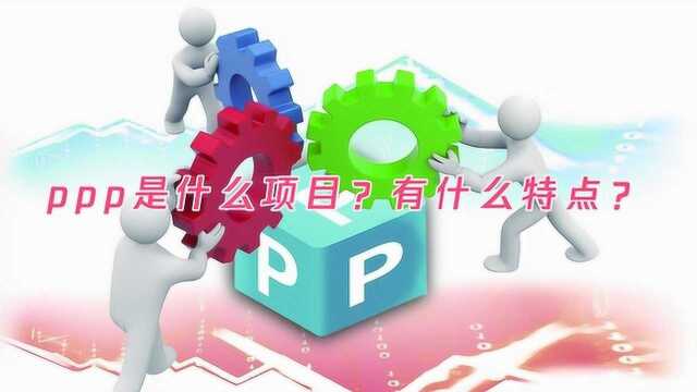 ppp是什么项目?有什么特点?