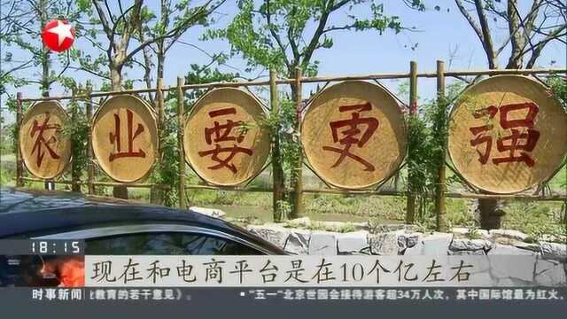 上海:国有资本参与乡村振兴 助力“黄桃之乡”大变样