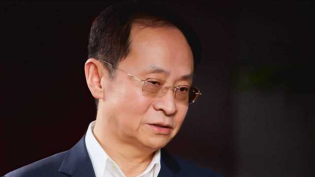 狱中归来的大佬张文中:希望后人评价我是个好人