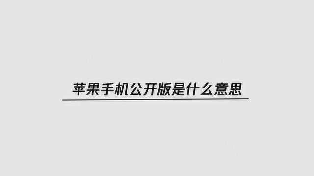 苹果手机公开版是什么意思