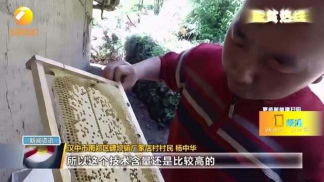 汉中南郑:返乡创业贫困户杨中华的喜与忧