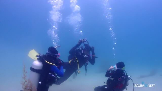 广州潜窝潜水中心 OpenWater 初级潜水员课程实录