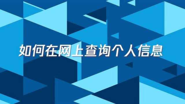 如何在网上查询个人信息?