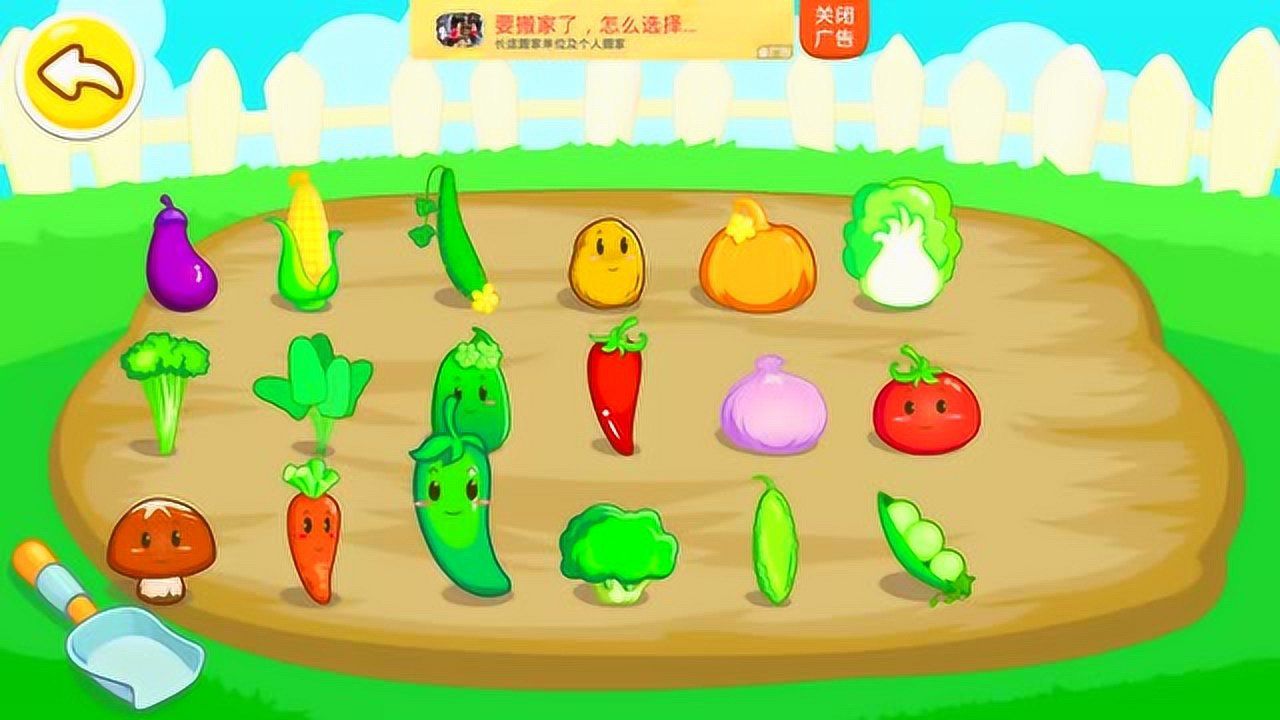 蔬菜超人 宝宝巴士图片