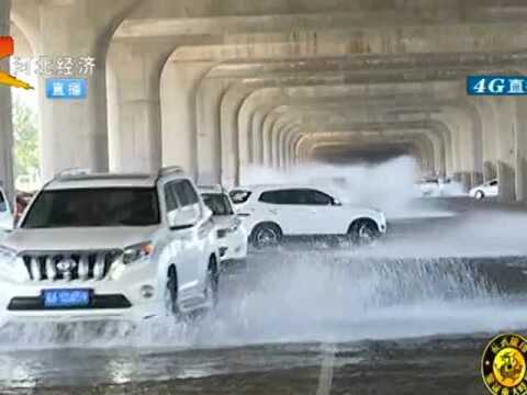 子龙大桥下水漫路面,轿车在此戏水飙车,生态区成了“戏水点”