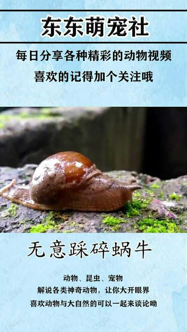 踩碎蜗牛图片