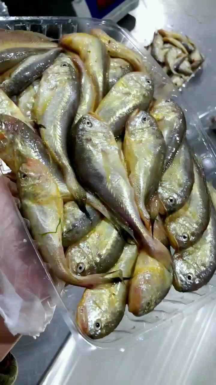 小贝海鲜7吕四海鲜