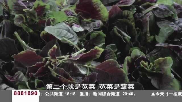 端午节的这些习俗,您知道吗?