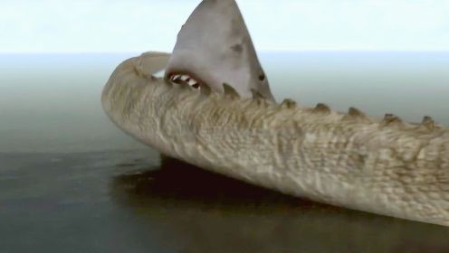 史前巨鳄与巨型鲨鱼碰面，双方一旦激战，就能引发海啸！