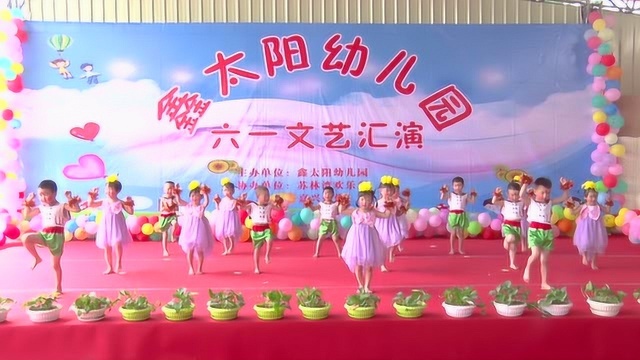 鑫太阳幼儿园总园2019年庆“六一”文艺汇演宣传片