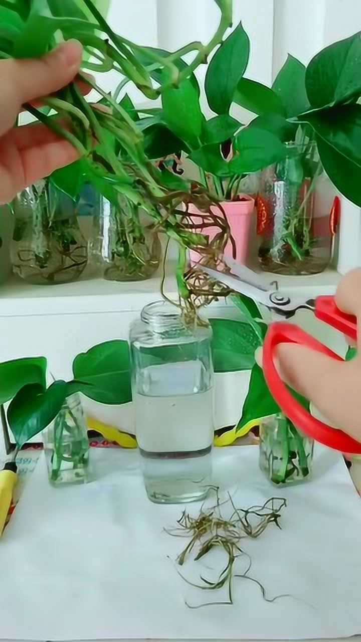 来腾讯视频看更多热门视频