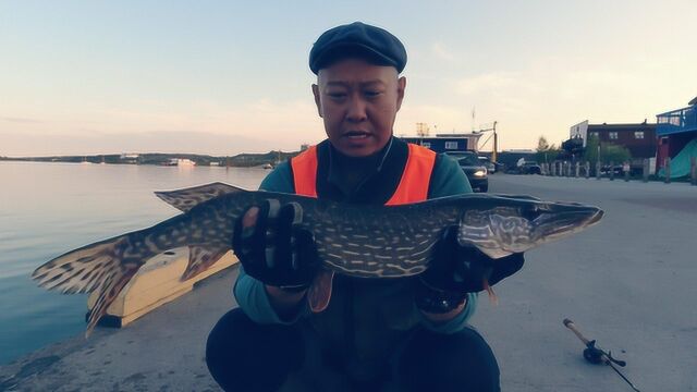 徒步爬山野钓,在北美第一钓点大奴湖中钓米级狗鱼 荒野孤钓出品