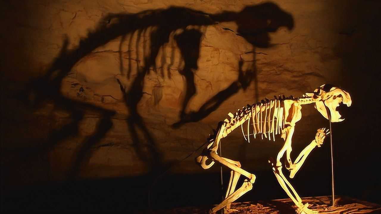 澳大利亚袋狮拥有史前最强咬合力碾压剑齿虎