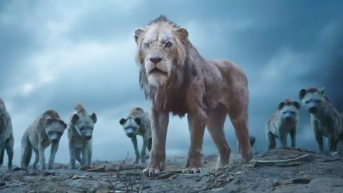 迪士尼推出真人CG，《狮子王》重出江湖，再现辛巴的逆袭之路！