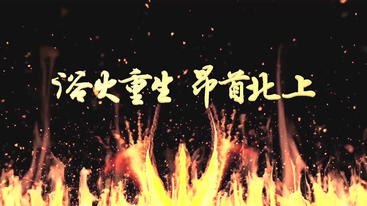 浴火重生,昂首北上