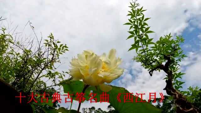 中国十大古典古筝名曲《西江月》请欣赏