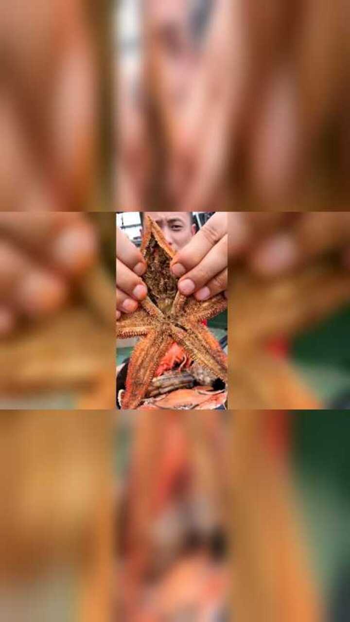 我吃海星你们吃八角吧