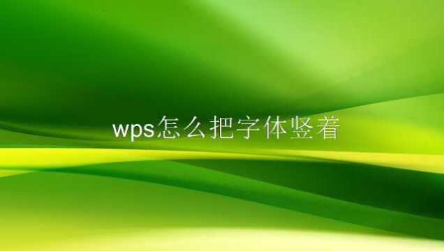 wps怎么把字体竖着?