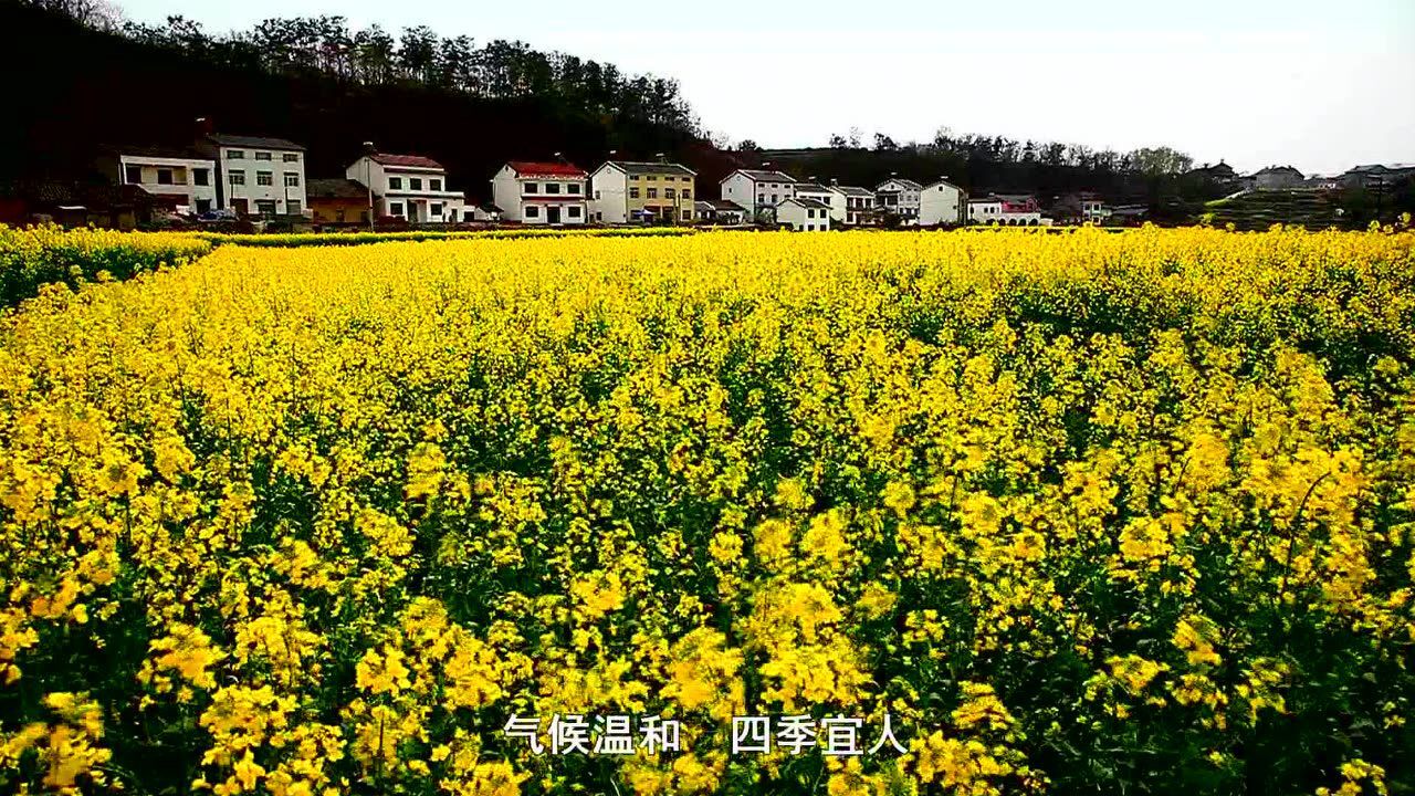 重庆城口宣传片_高清1080P在线观看平台_腾讯视频
